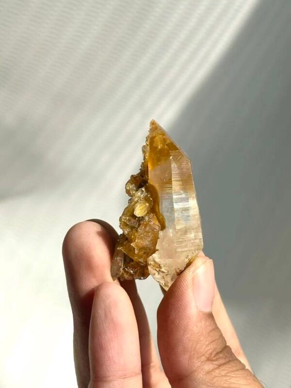 01f3c65f08ea4e061ebf5e6a6657245b Himalayan Small Single Crystal with Golden Small Crystal Flowers 14M