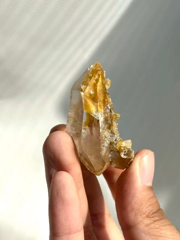 0f321eadd3c2acef0ff2086f62559d2d Himalayan Small Single Crystal with Golden Small Crystal Flowers 14M
