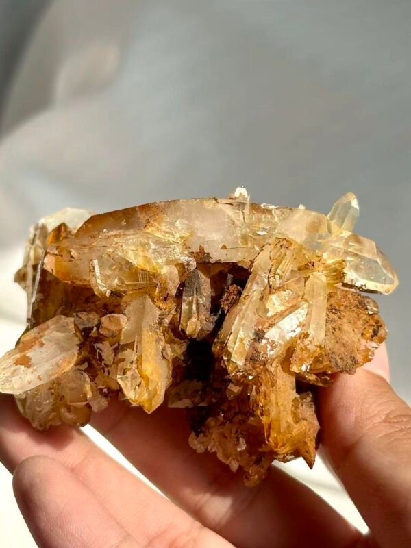 Tibetan Himalayan Crystal Cluster with Golden Suture Inclusions  13L