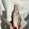 132df2b57bf6594452c1947ed8cd05d8 Burmese Petrified Wood Jade 11J