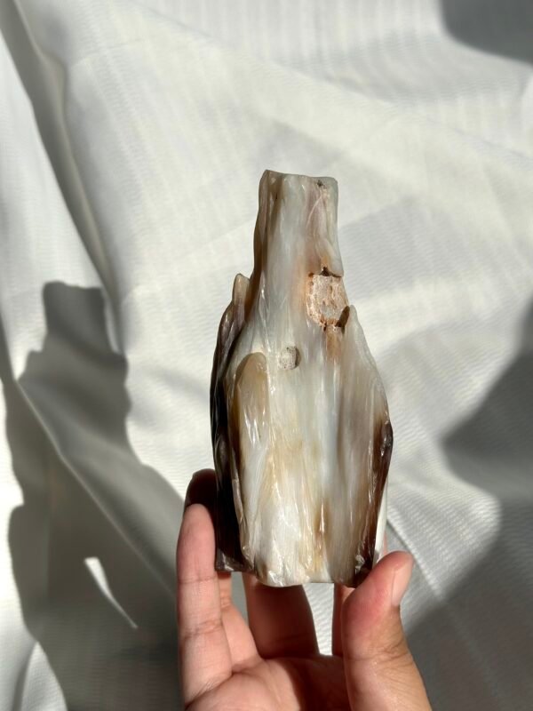 132df2b57bf6594452c1947ed8cd05d8 Burmese Petrified Wood Jade 11J
