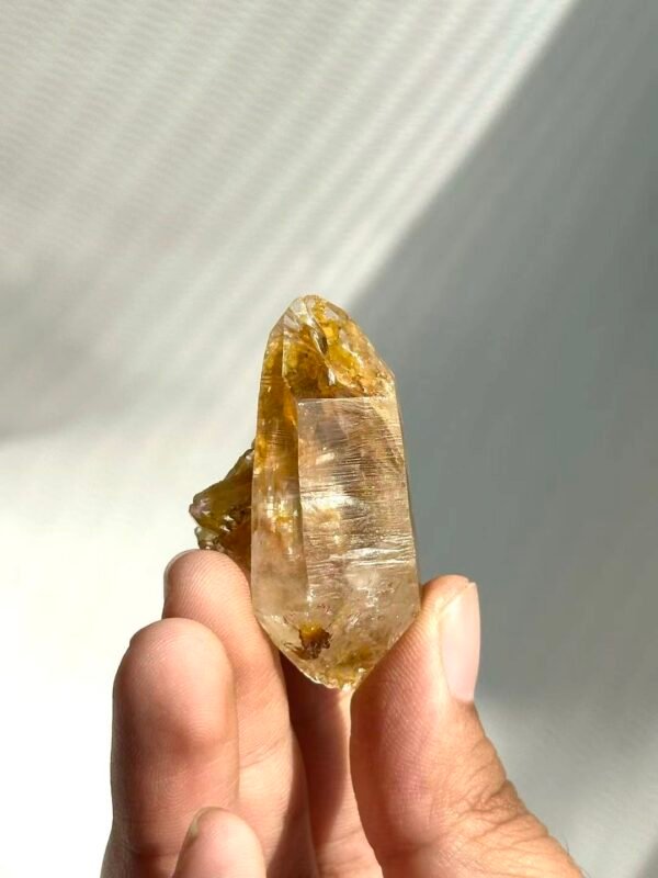 2255371897b8c774e1365a85dde7e177 Himalayan Small Single Crystal with Golden Small Crystal Flowers 14M