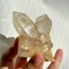 Twin Twisted Champagne Himalayan Crystal Small Ornaments 10K