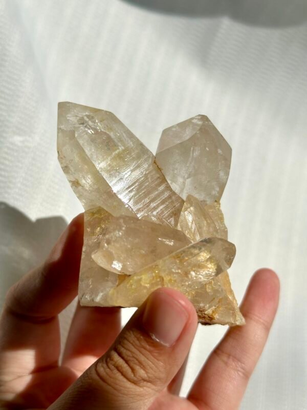 Twin Twisted Champagne Himalayan Crystal Small Ornaments 10K