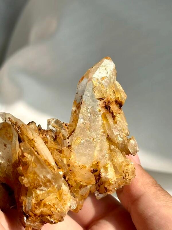 Tibetan Himalayan Crystal Cluster with Golden Suture Inclusions  13L