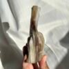 2b481a6507e33d6d8eb8bbf947d5c320 Burmese Petrified Wood Jade 11J