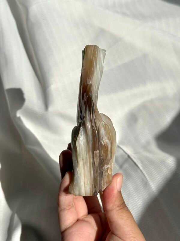 2b481a6507e33d6d8eb8bbf947d5c320 Burmese Petrified Wood Jade 11J