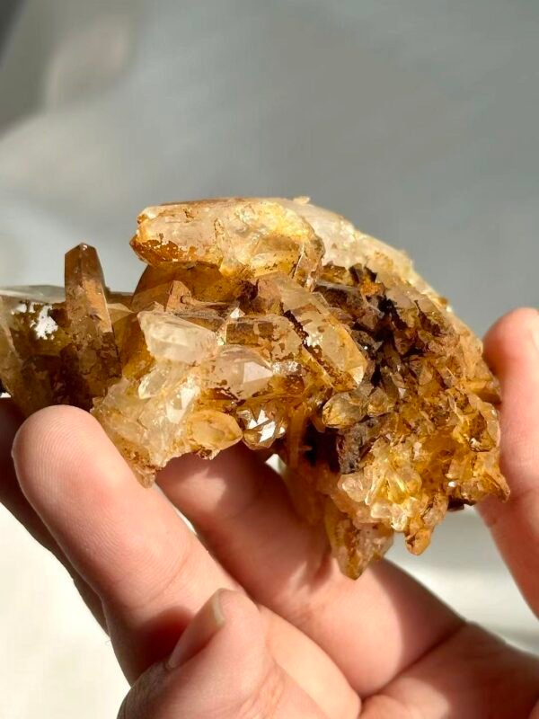 Tibetan Himalayan Crystal Cluster with Golden Suture Inclusions  13L