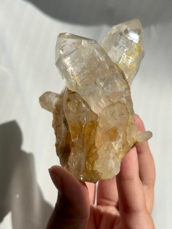 Twin Twisted Champagne Himalayan Crystal Small Ornaments 10K