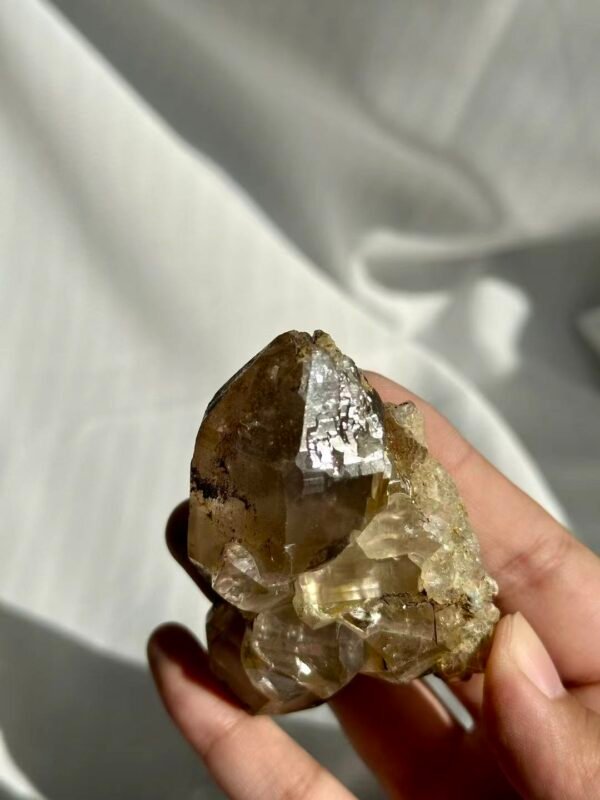 508f5020b30536af1d804229b91b5767 Tea-Brown Himalayan Polysynthetic Crystal with Symbiotic Siderite and Rutile 12N