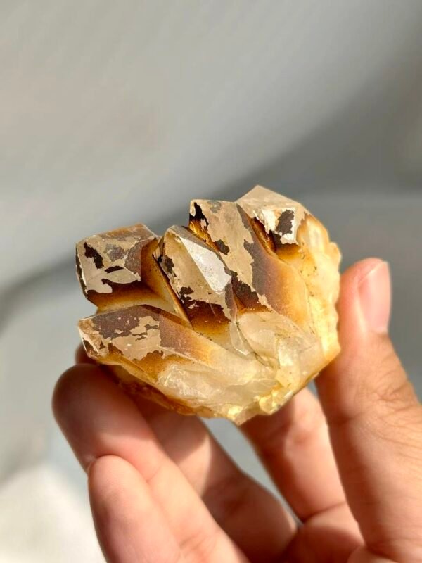 Tibetan Himalayan Multi-Crystal Mini Cluster: Flame-like Ore Rind  13P