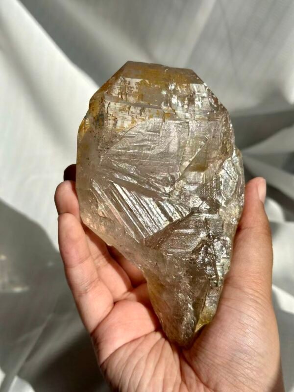 Himalayan Flat Crystal: Large Sutures, Transparent Circuit Board Patterns  13E