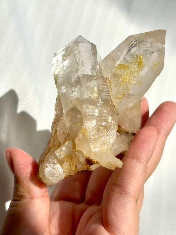 Twin Twisted Champagne Himalayan Crystal Small Ornaments 10K