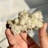 Himalayan Mineral Cluster with White Feldspar & Silver Mica Symbiosis 16C