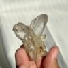 Twin Himalayan Crystal with Interference Patterns and Siderite Symbiosis 11G