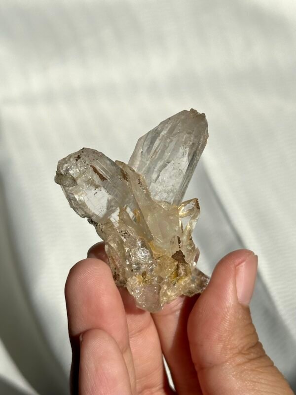 Twin Himalayan Crystal with Interference Patterns and Siderite Symbiosis 11G