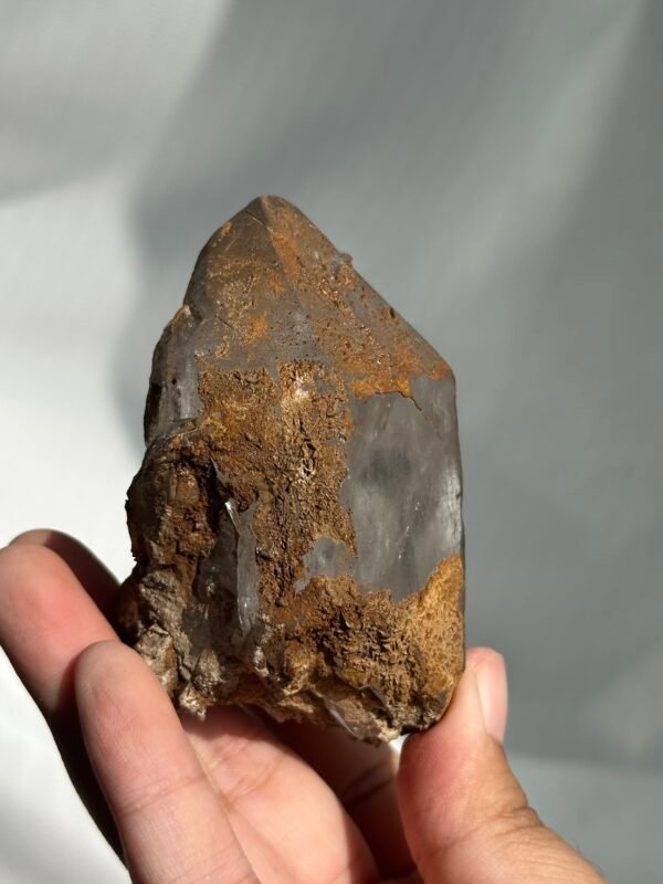 Gray-brown blonde symbiotic Himalayan crystal small house  09F