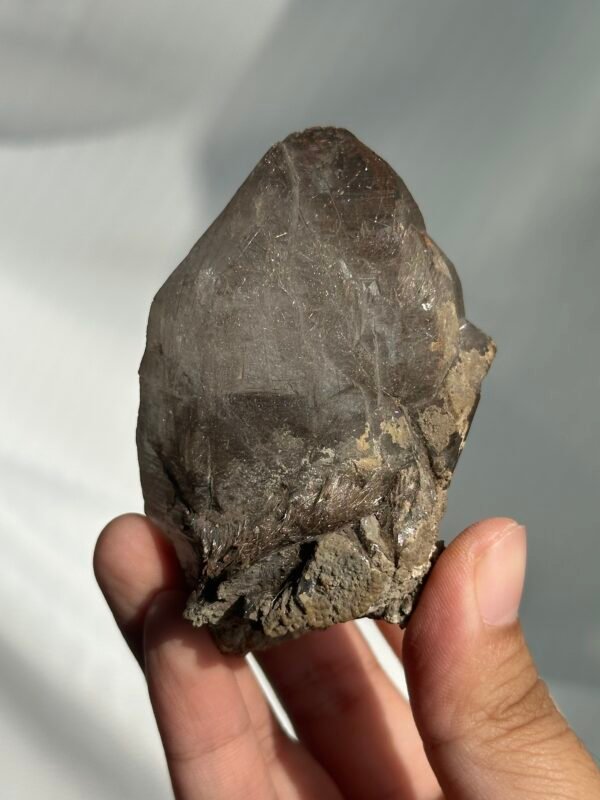 Gray-brown blonde symbiotic Himalayan crystal small house 09F