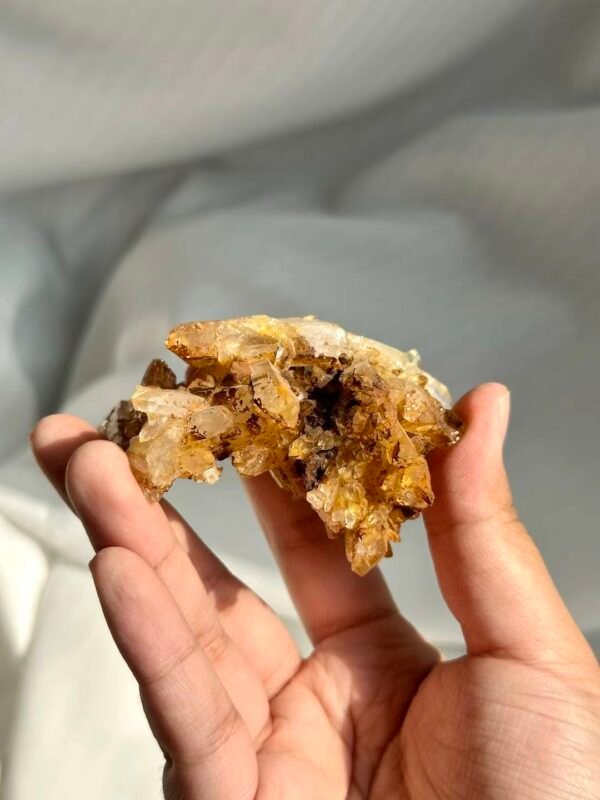 Tibetan Himalayan Crystal Cluster with Golden Suture Inclusions  13L