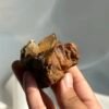 Rose Manor Floating Brownish-Red Himalayan Crystal Cluster  15B