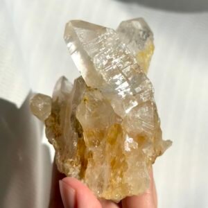 Twin Twisted Champagne Himalayan Crystal Small Ornaments 10K