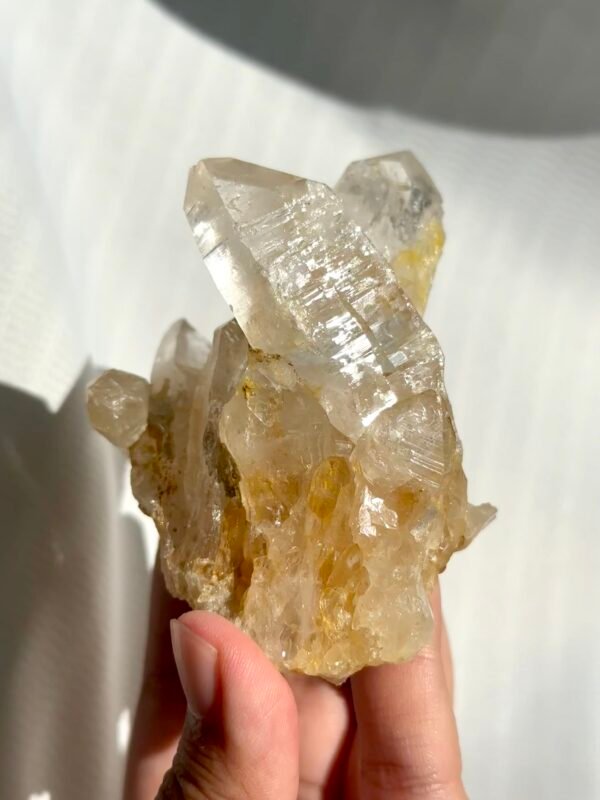 Twin Twisted Champagne Himalayan Crystal Small Ornaments 10K