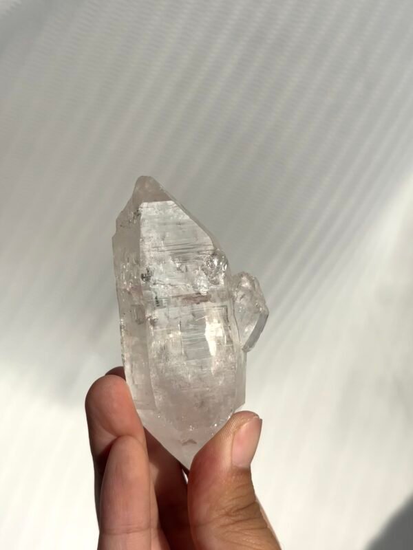 7e4a6b3d8d2dcf23a76fa8e2b12fa76d White and fat Himalayan double-pointed hand grip 10J