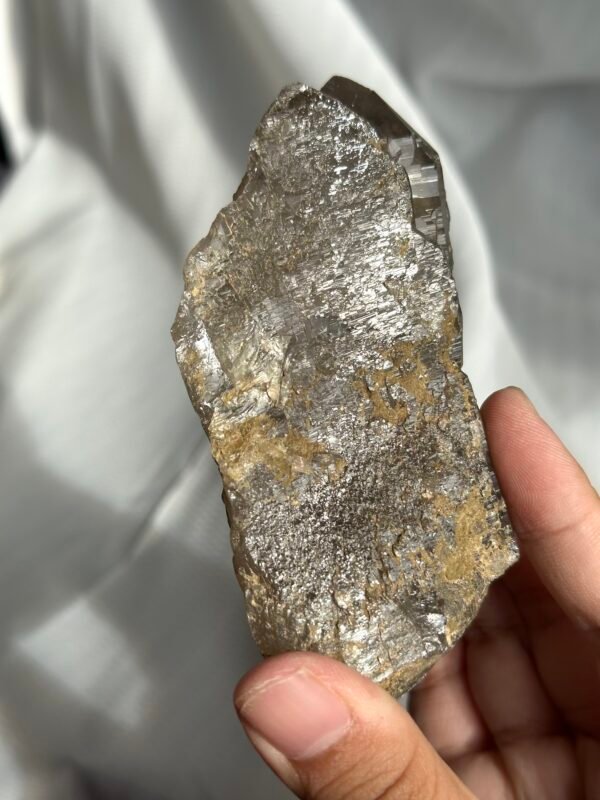 Nepalese Gray-Tea Circuit Board Himalayan Large Palm Stone  12D