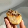 Tibetan Himalayan Multi-Crystal Mini Cluster: Flame-like Ore Rind  13P