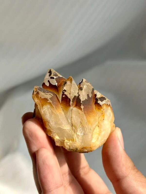 Tibetan Himalayan Multi-Crystal Mini Cluster: Flame-like Ore Rind  13P