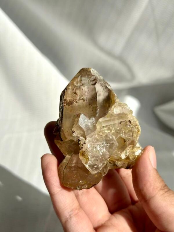 97ad0526f655ce1ddac20bcab19993c3 Tea-Brown Himalayan Polysynthetic Crystal with Symbiotic Siderite and Rutile 12N