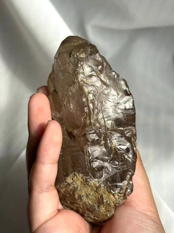 Nepalese Gray-Tea Circuit Board Himalayan Large Palm Stone  12D