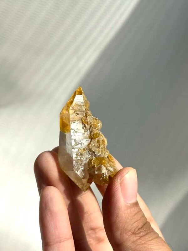 abd489e2e1728119ac0030f9cee85621 Himalayan Small Single Crystal with Golden Small Crystal Flowers 14M