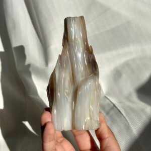 Burmese Petrified Wood Jade  11J
