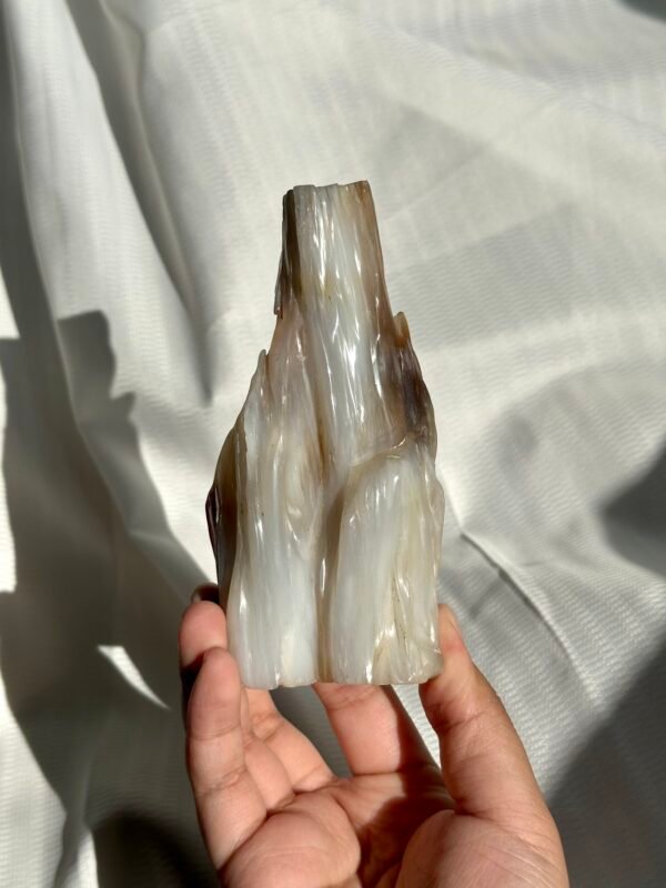 Burmese Petrified Wood Jade  11J