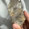 Nepalese Gray-Tea Circuit Board Himalayan Large Palm Stone  12D