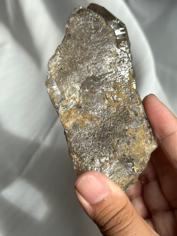 Nepalese Gray-Tea Circuit Board Himalayan Large Palm Stone  12D