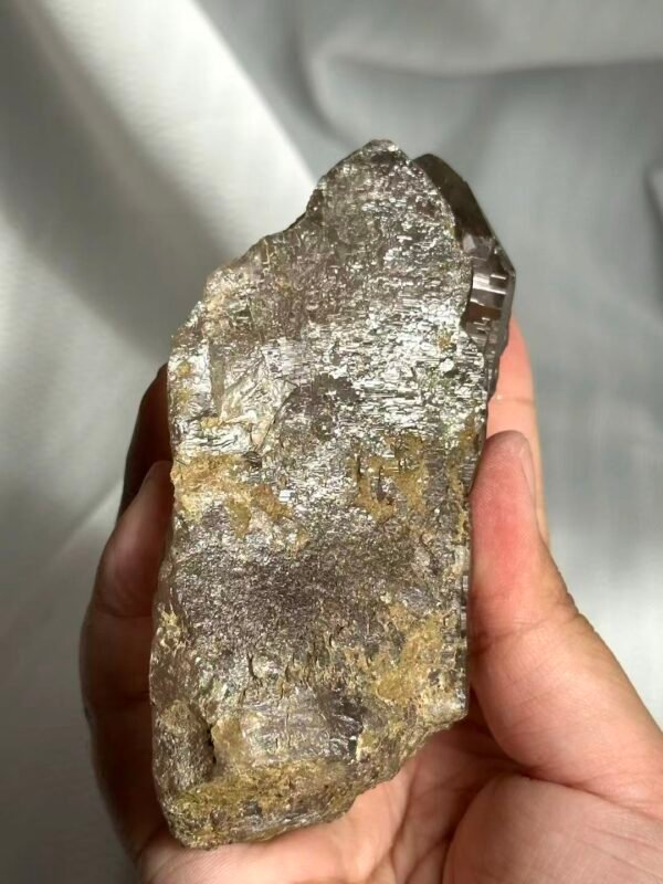 Nepalese Gray-Tea Circuit Board Himalayan Large Palm Stone  12D