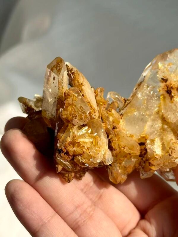 Tibetan Himalayan Crystal Cluster with Golden Suture Inclusions  13L