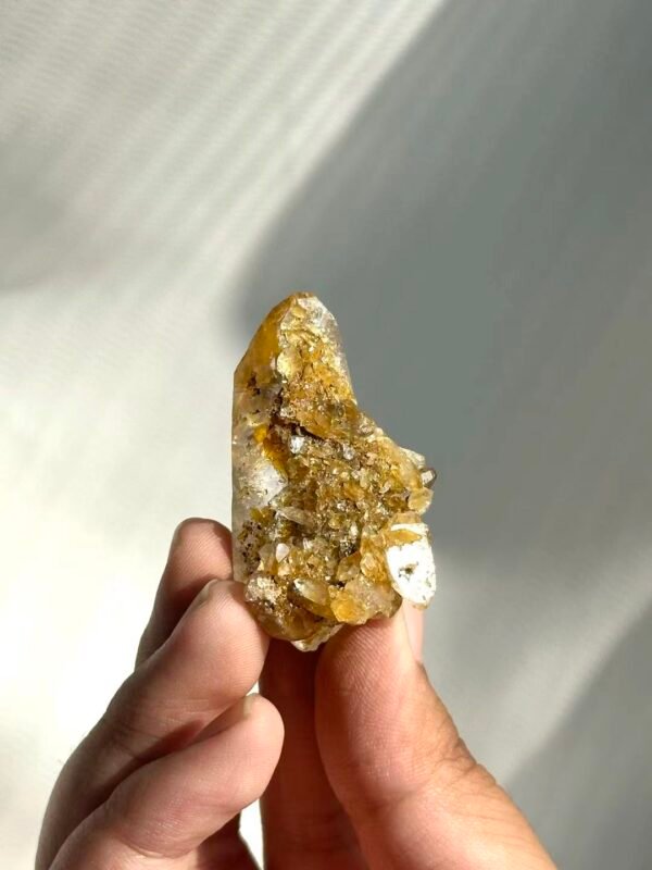 e507223689f4ede0ebfbc6d231464079 Himalayan Small Single Crystal with Golden Small Crystal Flowers 14M