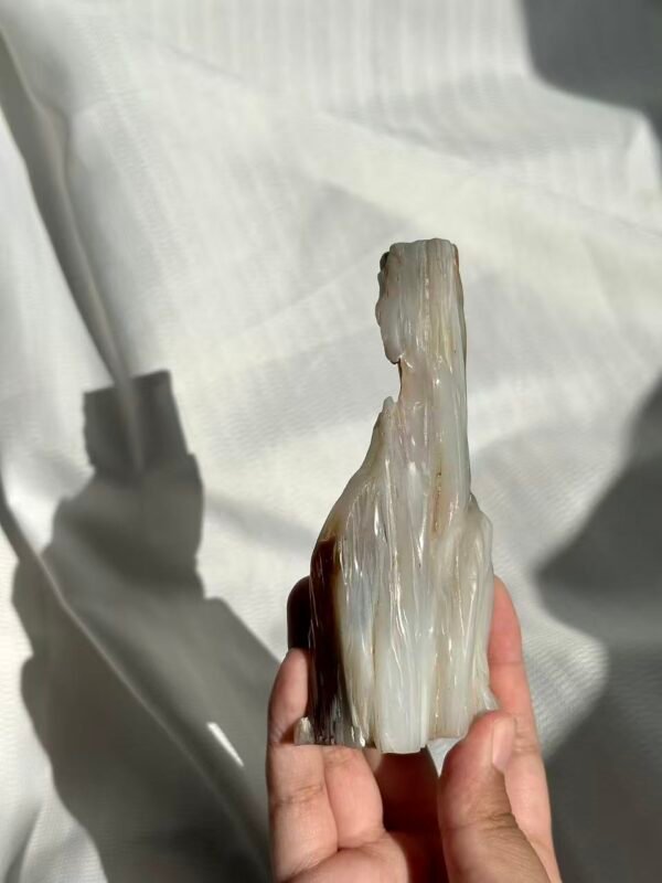 fd4366fd7888ffbb5843a4ecc7782134 Burmese Petrified Wood Jade 11J